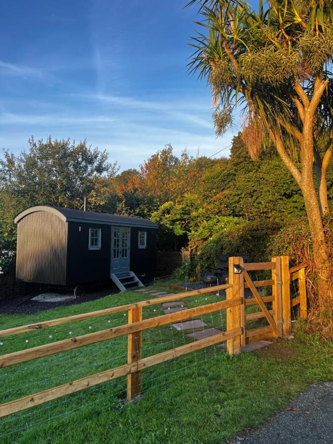 Mountain View Shepherd'S Hut For 2 Adults, 1 Dog Villa Llangoed Exterior photo